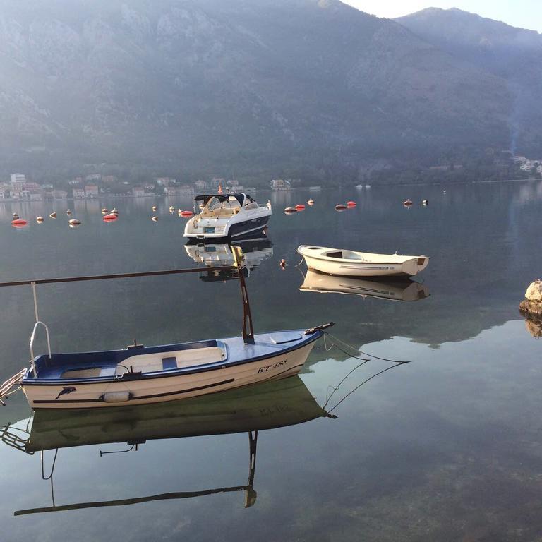 Adriatic Pearl Apartments Kotor Eksteriør billede